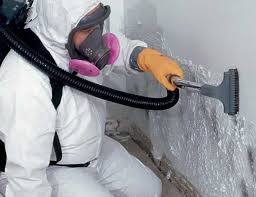 Best Environmental Consulting for Mold Prevention in Forty Fort, PA